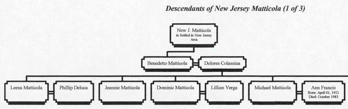 nj1.jpg (190094 bytes)